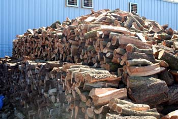 Wood Pile